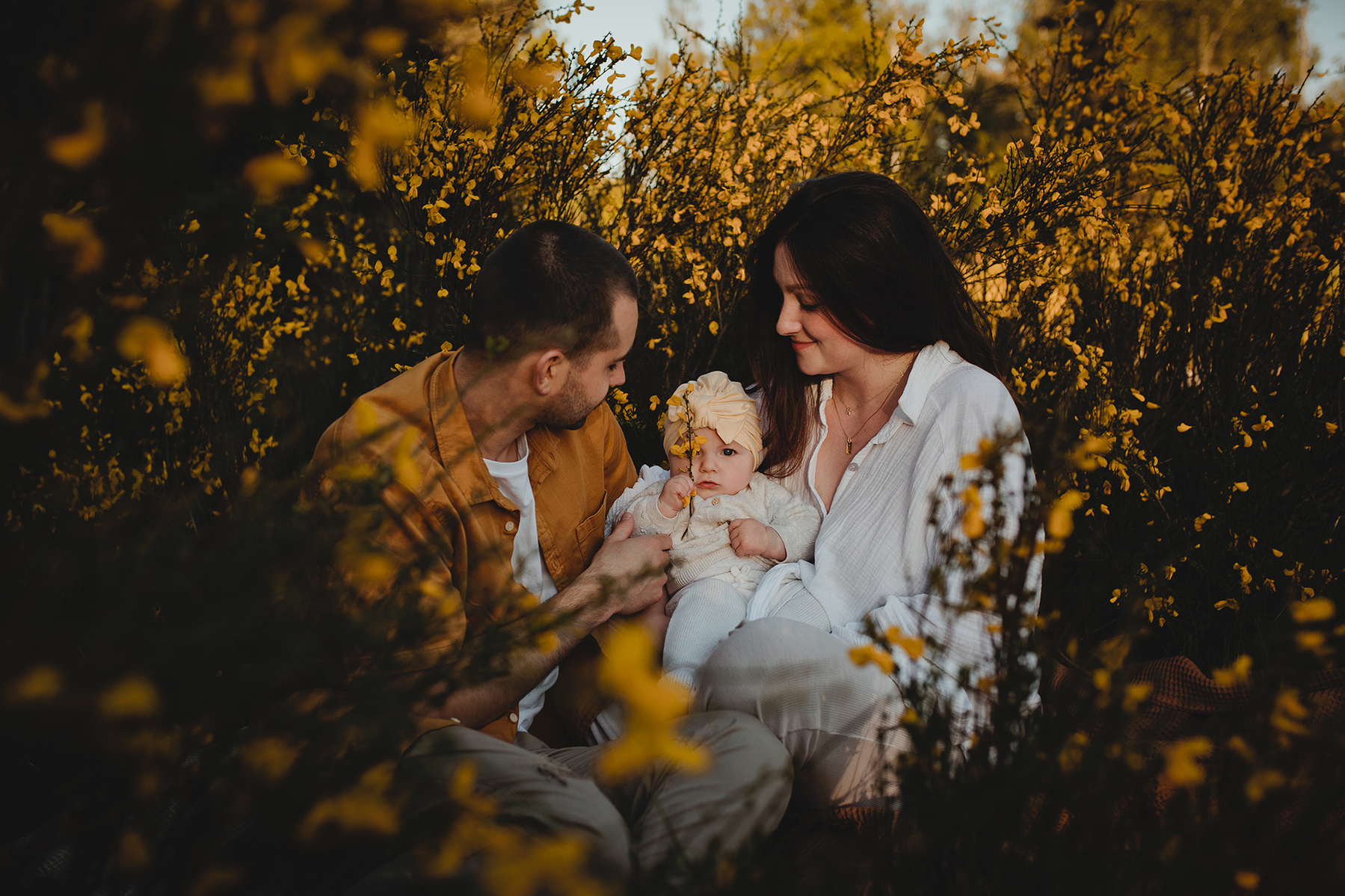 Eine Familie sitzt beim Fotoshooting im Ginster zwischen den blühenden Büschen und schaut sich an.