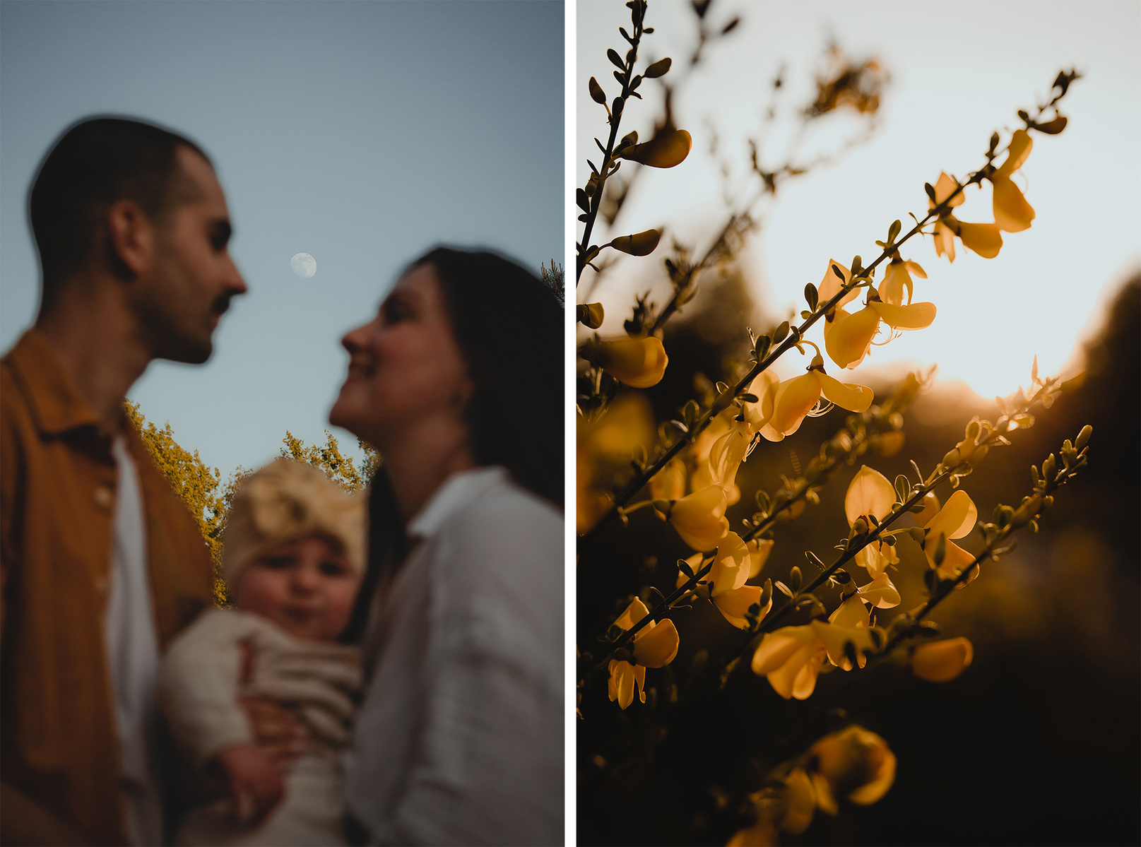Kreative Collage von einem Familienshooting in der Abenddämmerung. 