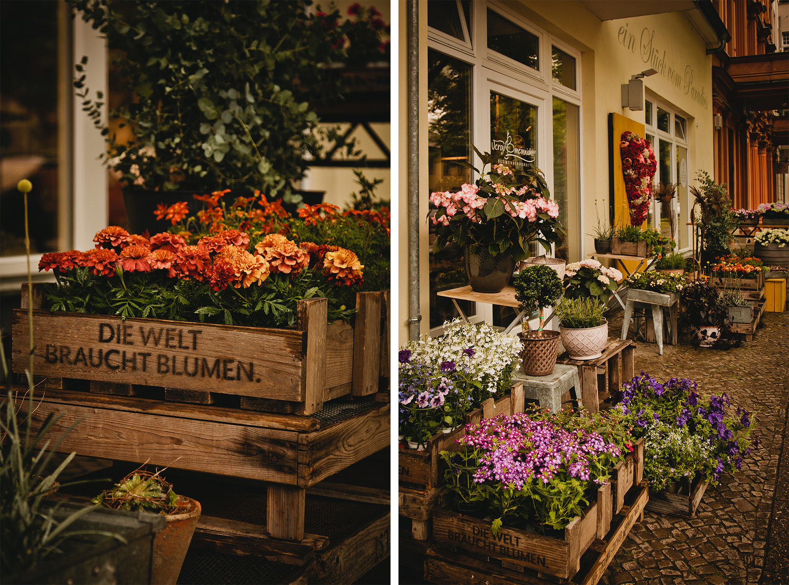 Bei einer Businessreportage für eine Floristin in Berlin wurden auch die Details des Ladengeschäfts fotografiert.