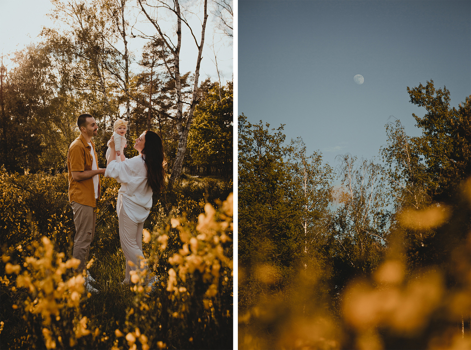 Collage von einem ungestellten Familienshooting in den Abendstunden während der Ginsterblüte. 