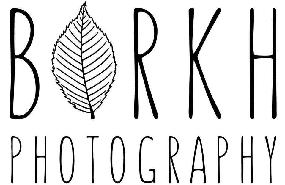 Hochzeitsfotografie und Portraits aus Meisterhand