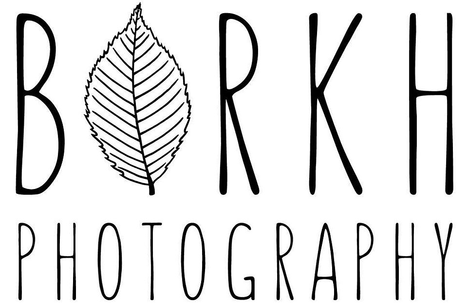 Hochzeitsfotografie und Portraits aus Meisterhand