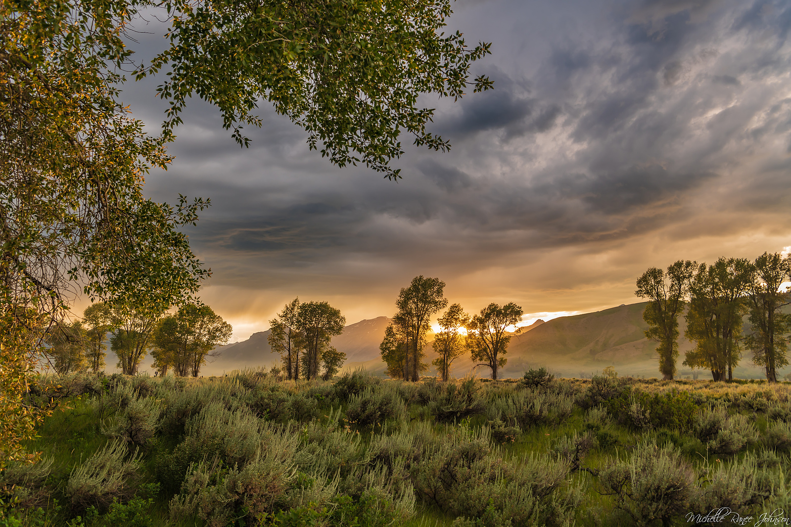 Golden light coming through during a thunderstorm over the Grand Tetons at Gros Ventre Campground, Wyoming. Fine art image.