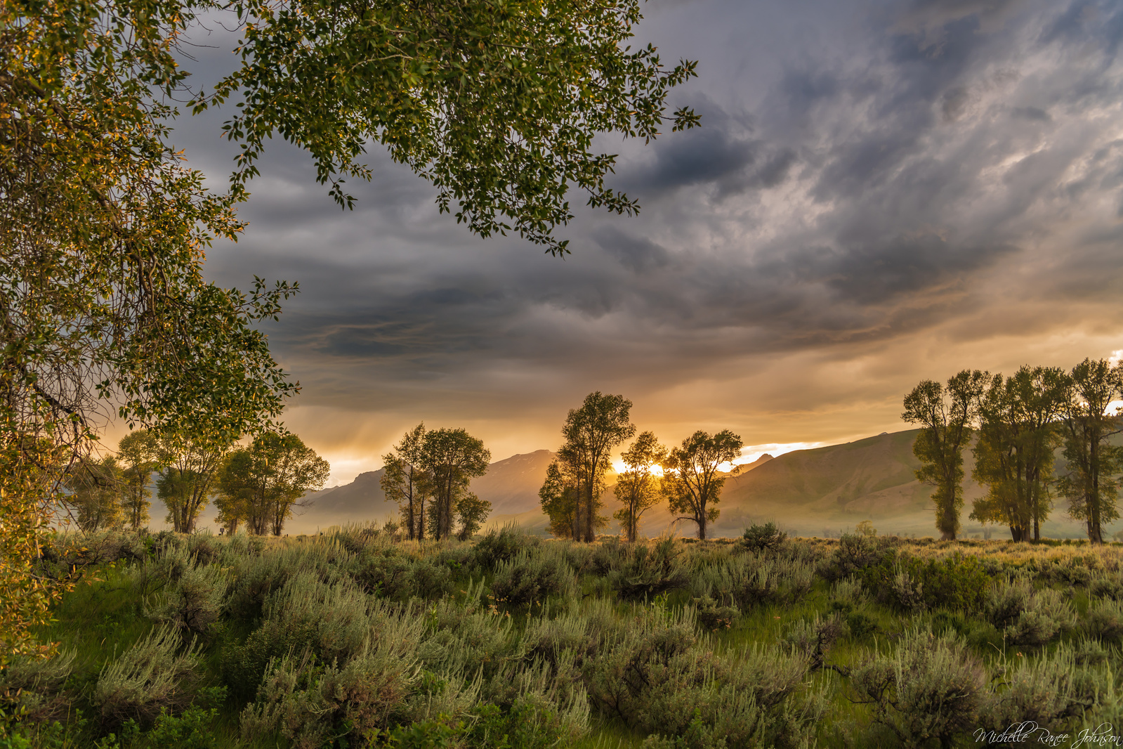Golden light coming through during a thunderstorm over the Grand Tetons at Gros Ventre Campground, Wyoming. Fine art image.