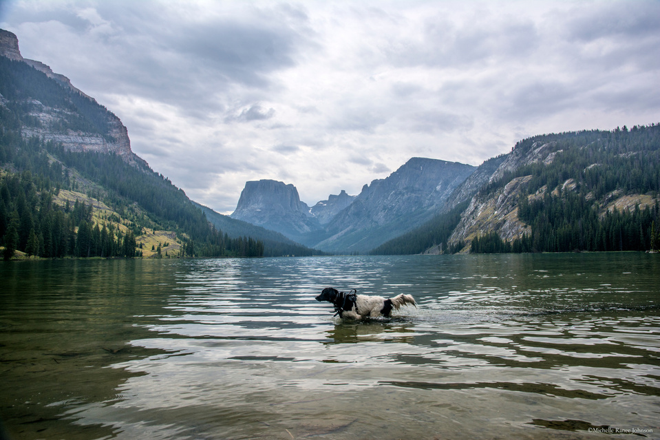 Bart looking for fish at Green River Lakes, Wind River Range, Wyoming. 