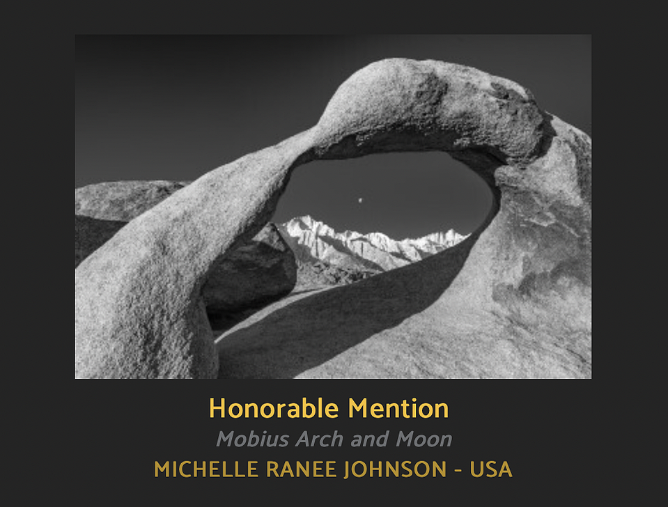 My image as an Honorable Mention in the 19th Annual Black and White Spider Awards in the Professional Nature Division. 