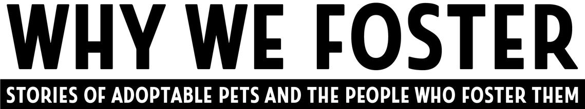 Why We Foster: Stories of Adoptable Pets and the People Who Foster Them
