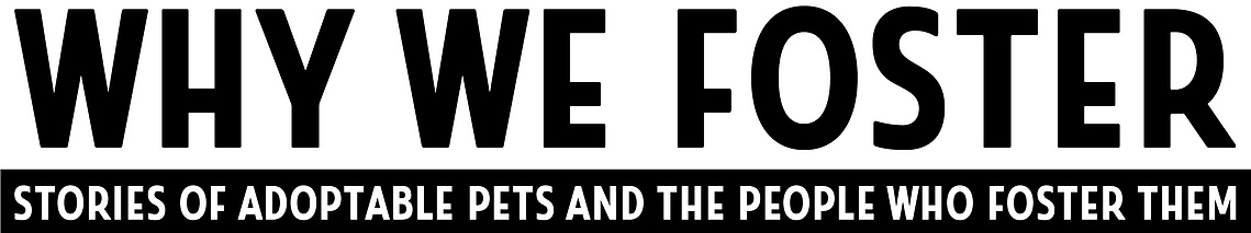 Why We Foster: Stories of Adoptable Pets and the People Who Foster Them