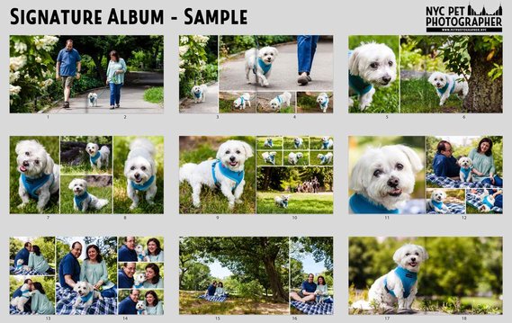 NYC Pet Photographer Signature Album Design Sample