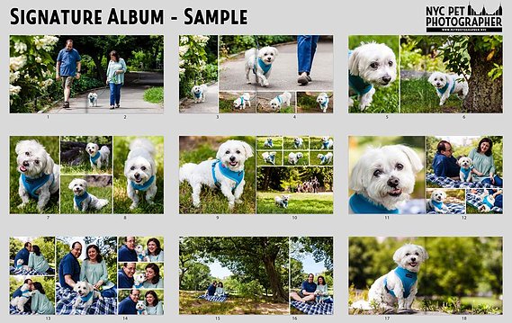 NYC Pet Photographer Signature Album Design Sample