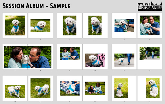 NYC Pet Photographer Session Album Design Sample