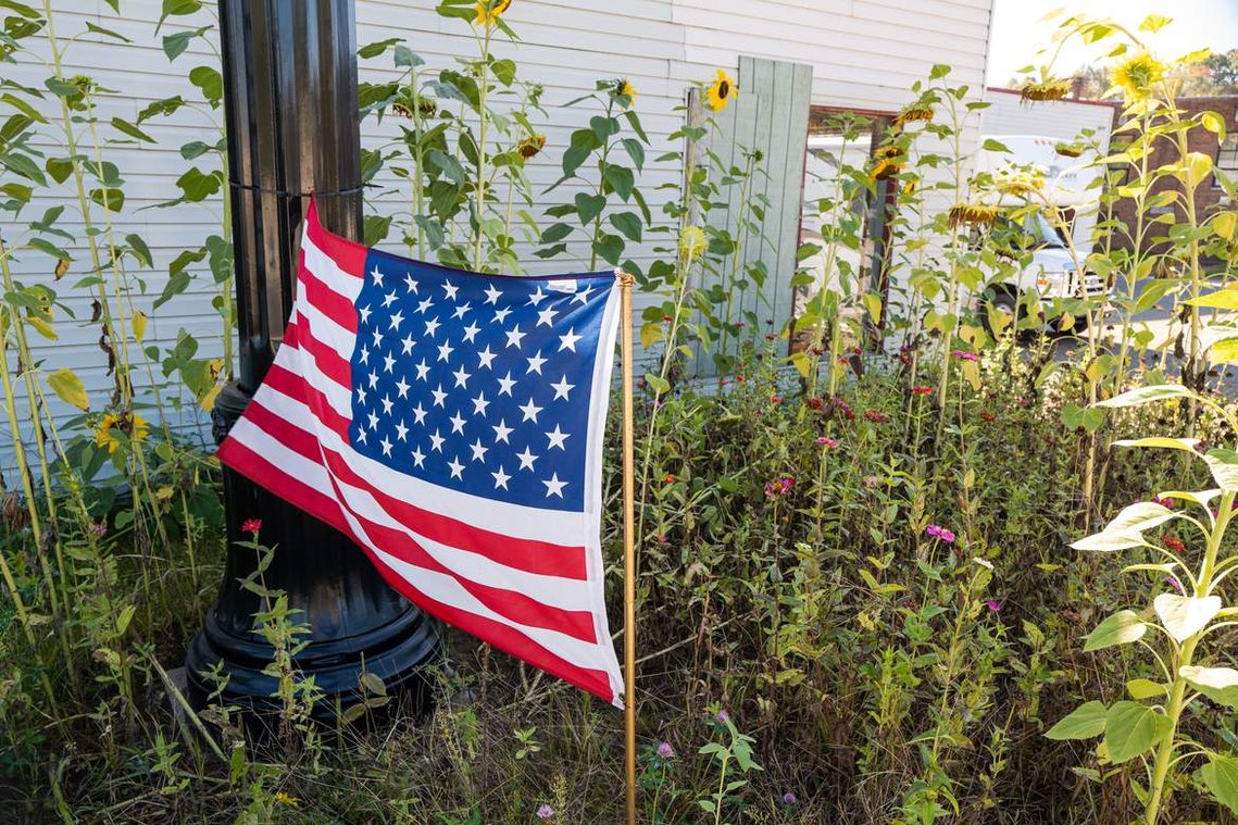 An American flag attached to a light pole among the wildflowers on a street, before the 2020 United States presidential election