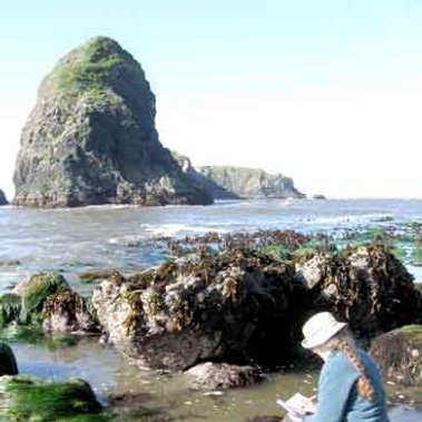 Cathy drawing and painting tidepool creatures and sea images.