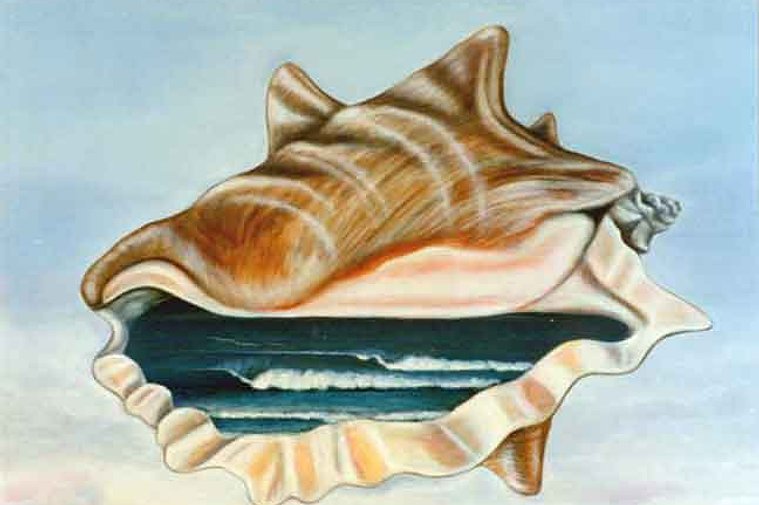 Hear The Ocean in a Shell
Oil Painting