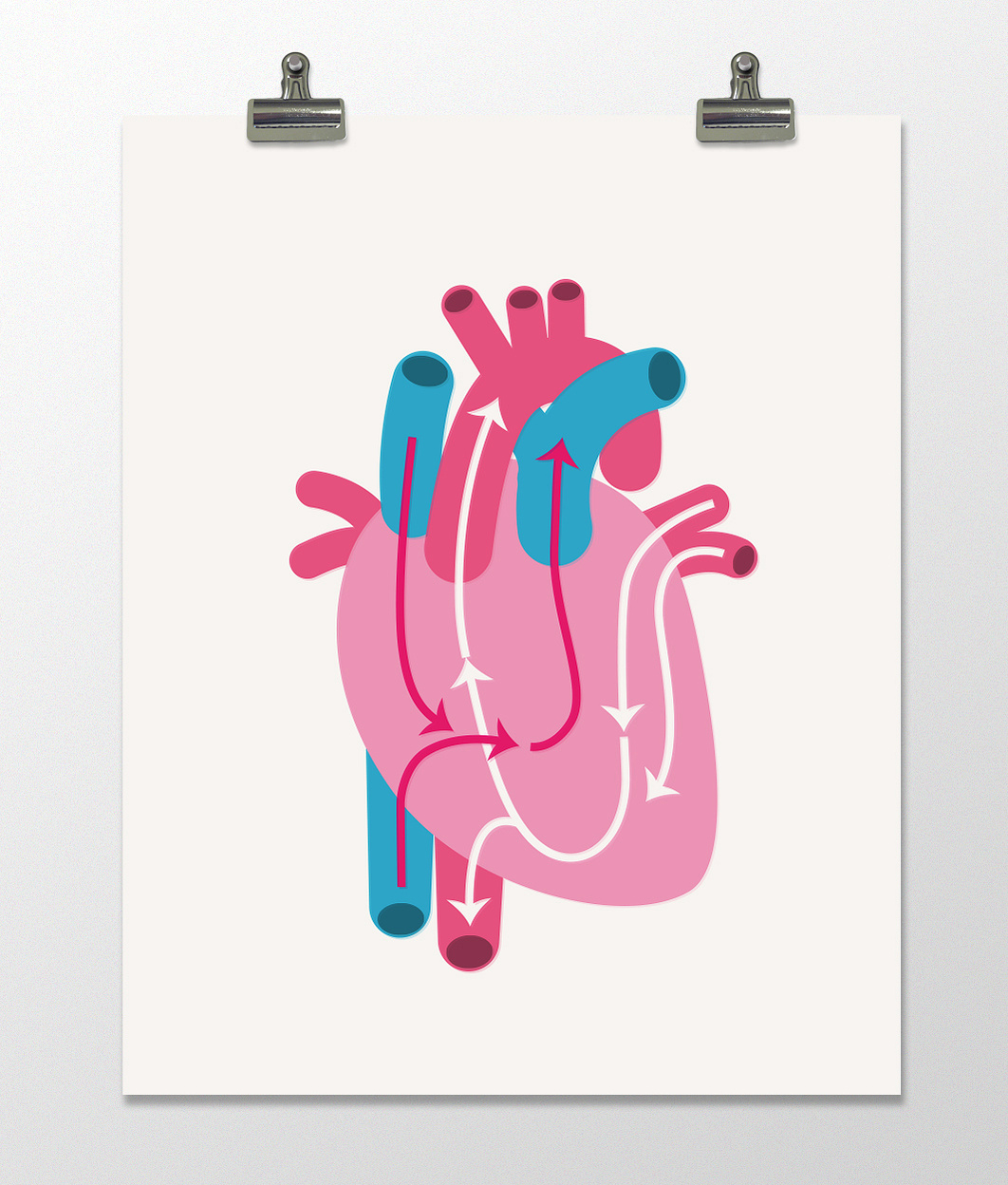 Head to Toe - Imeus design Portfolio