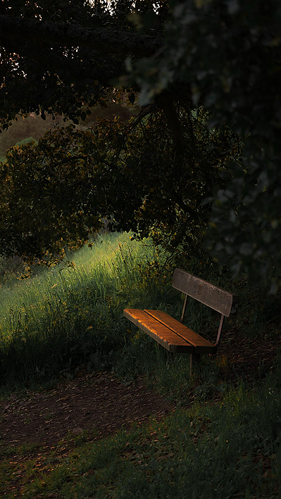 Tilden Regional Park, CA