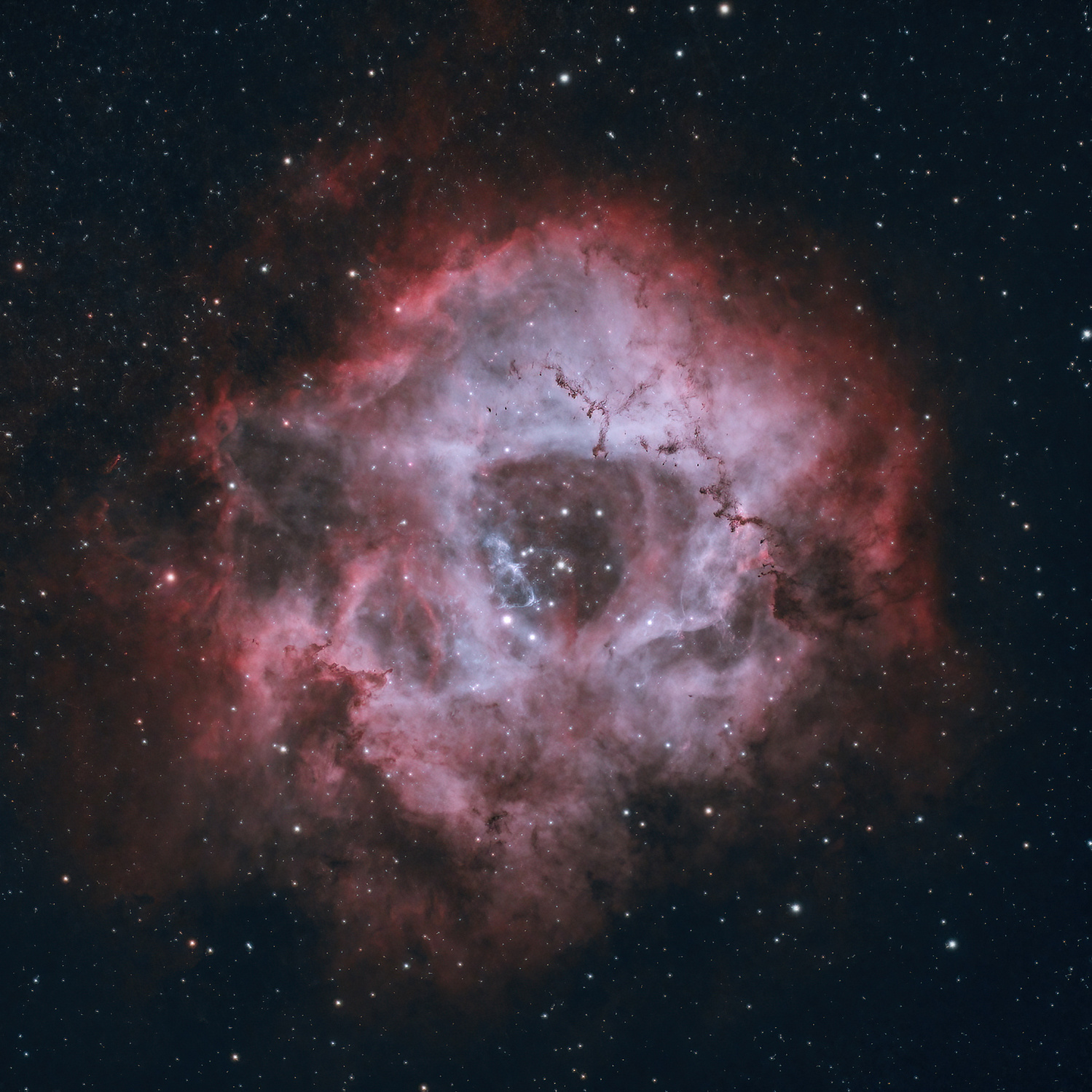 Nebula astrophotography taken with a ZWO camera