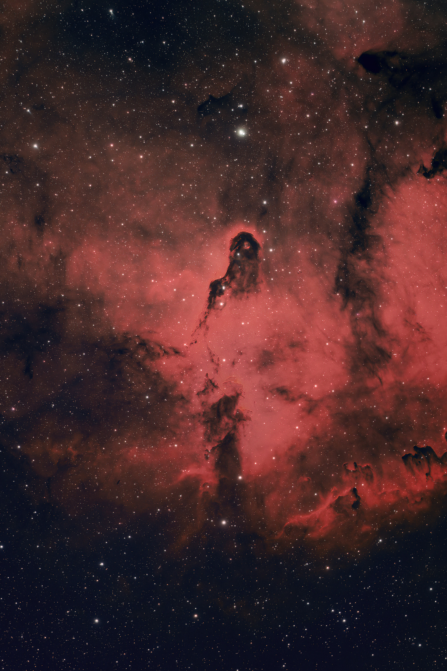 Nebula astrophotography taken with a ZWO camera