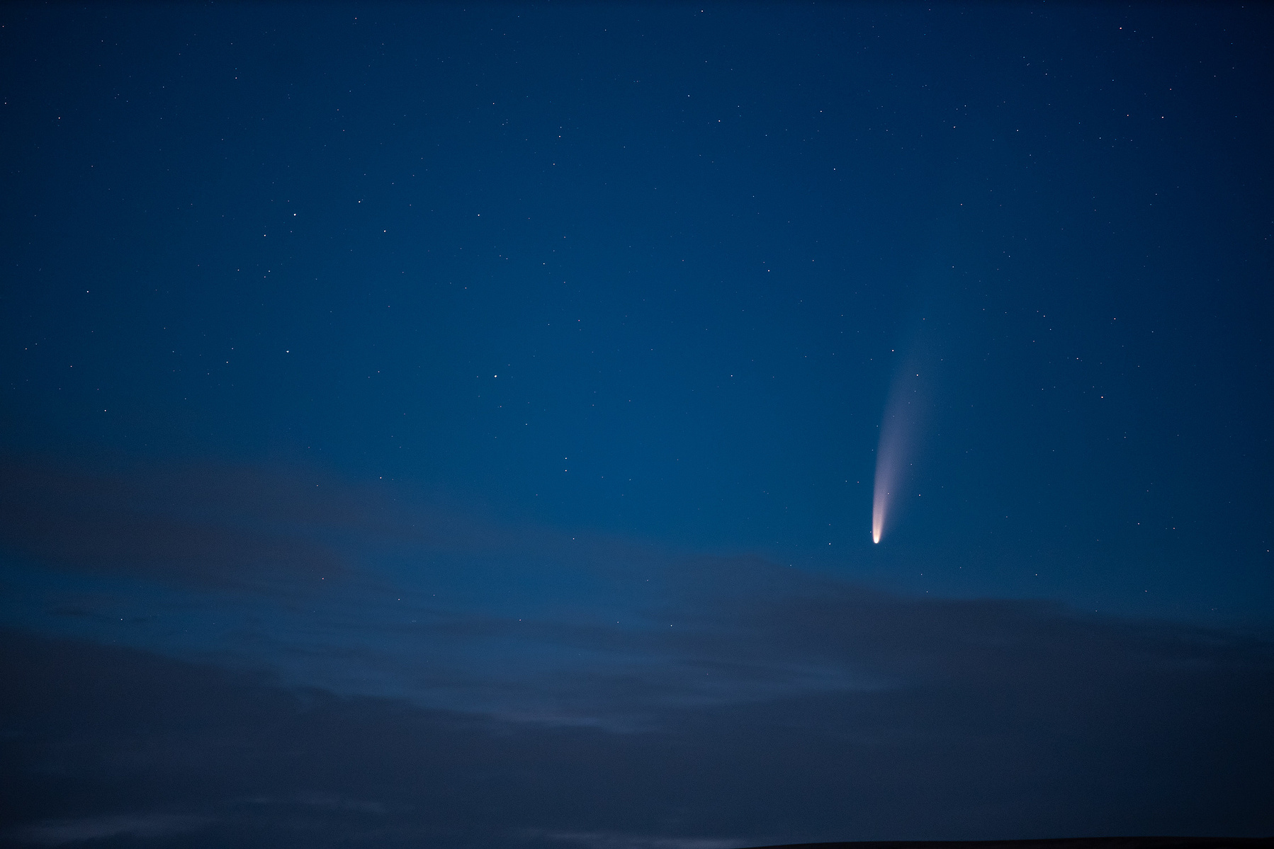 Comet Neowise. Astronomy Photography