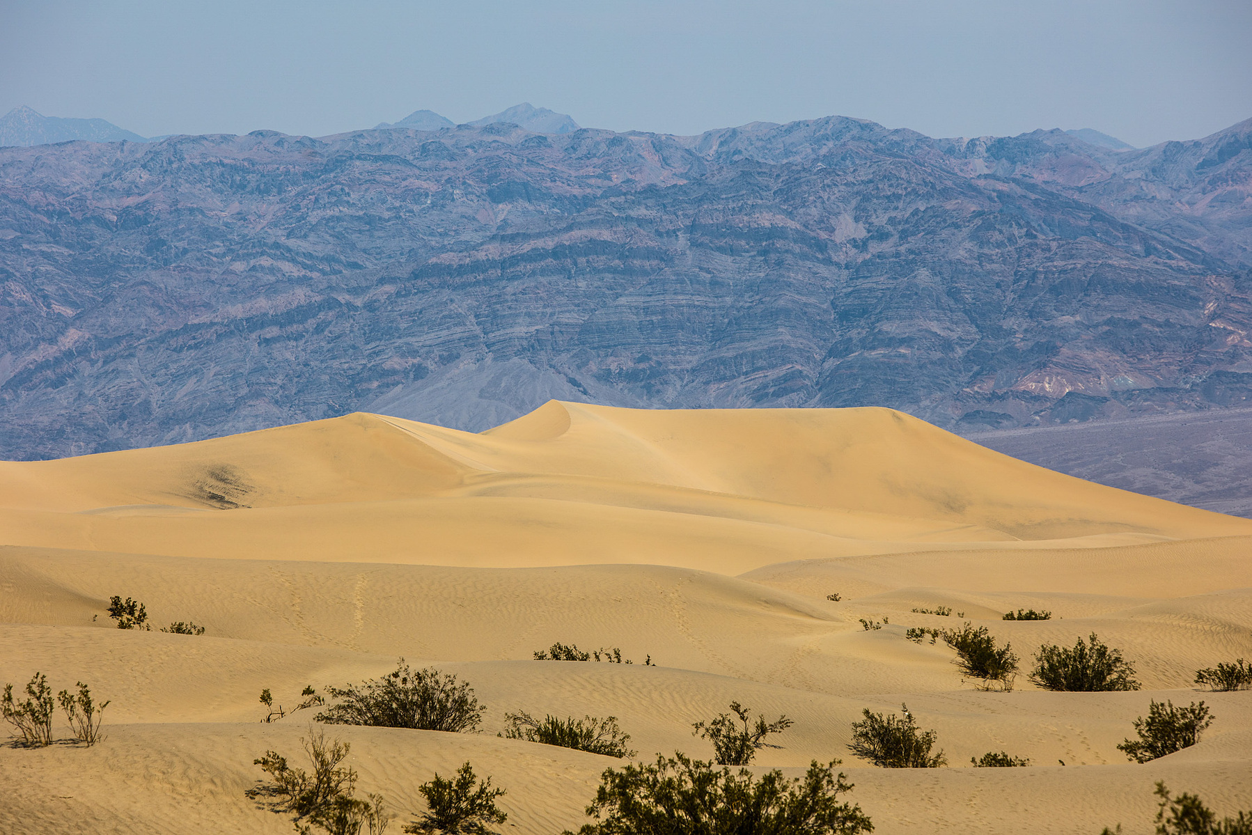 Sand dunes in death valley national park