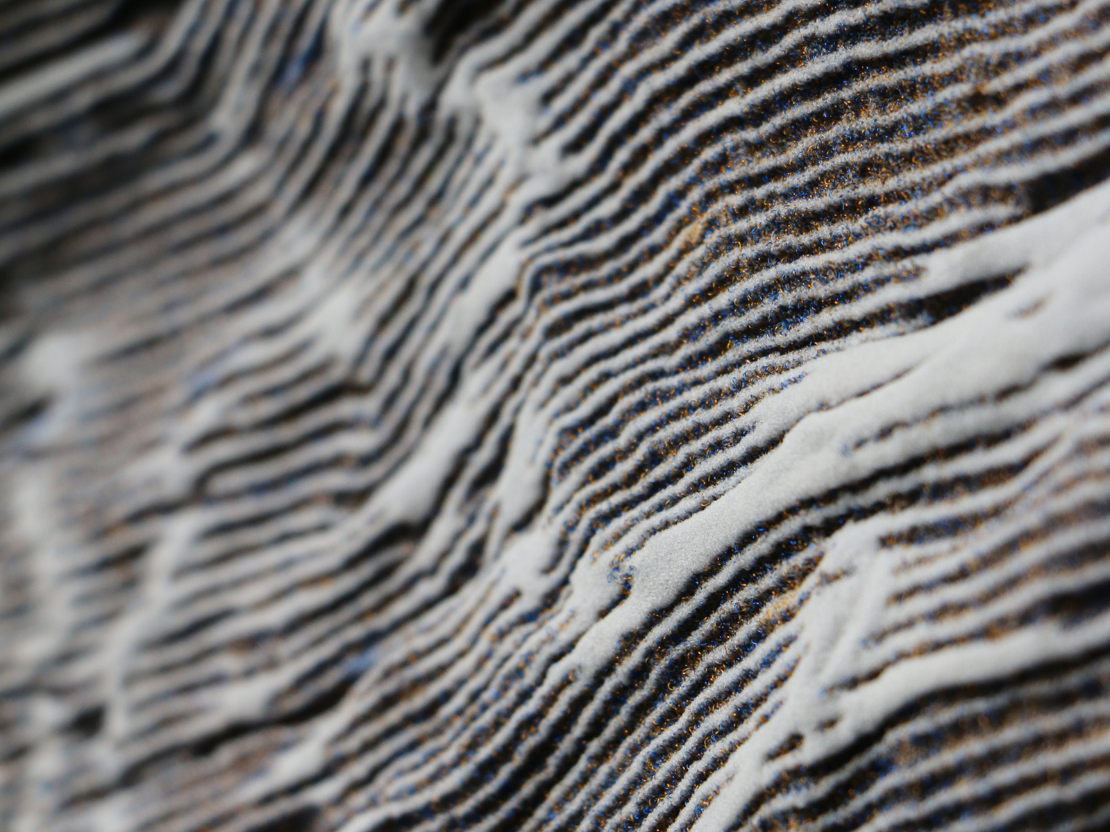 Authenticity texture fabric - Studio Eva X Carola