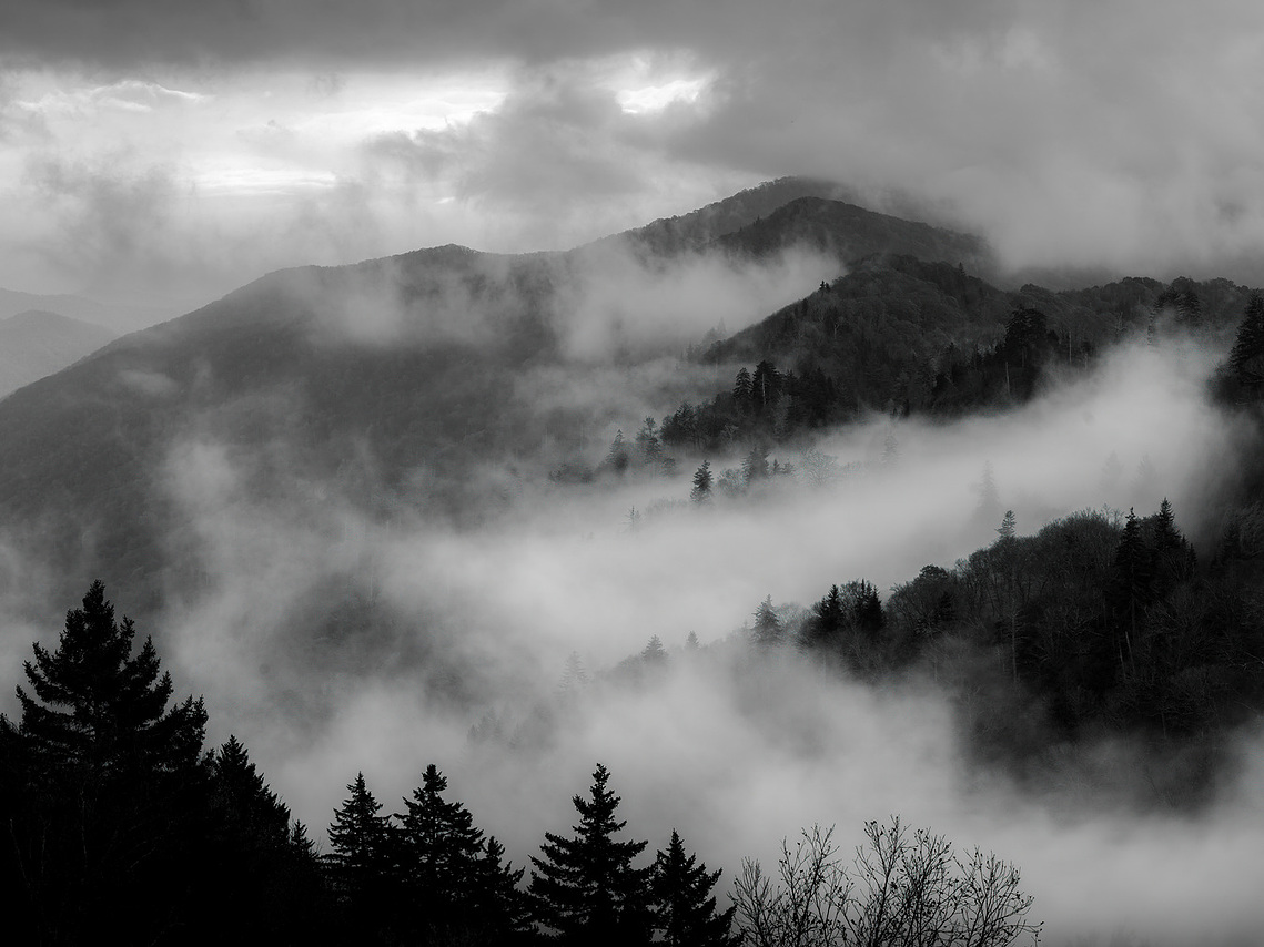 Low clouds of mist weave through the layered ridges of the Great Smoky Mountains National Park, softening the rugged landscape. Silhouetted evergreens stand in quiet contrast as the filtered morning light creates a dreamlike, ethereal atmosphere.