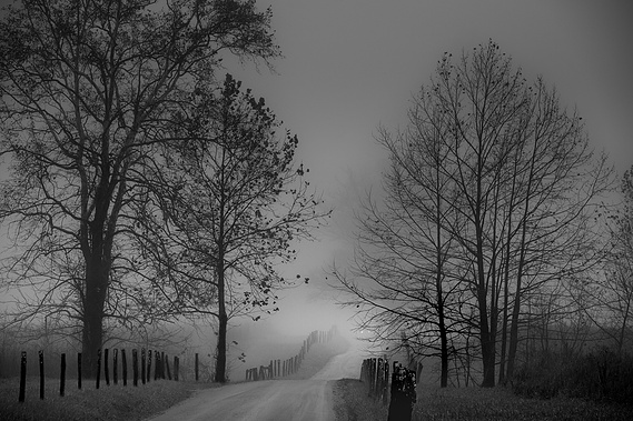 A foggy morning along Sparks Lane in Cades Cove, Great Smoky Mountains National Park, where a tree-lined dirt road disappears into the fog—just ahead, the faint headlights of a car emerges, adding mystery to the serene, timeless scene.