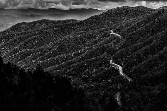 A winding mountain road carves through the dense forested slopes of the Great Smoky Mountains National Park, disappearing into the misty distance beneath dramatic clouds in this moody black and white landscape.