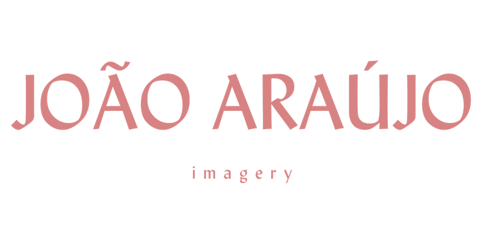 João Araújo's Portfolio