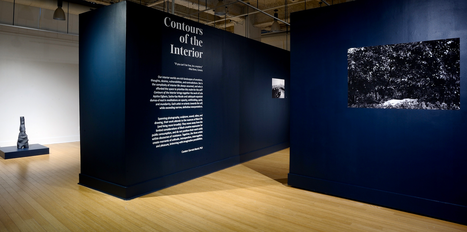 https://www.gervaismarsh.com/curatorial-projects/contours-of-the-interior-zdm9p-a9dkx-dbx3x 