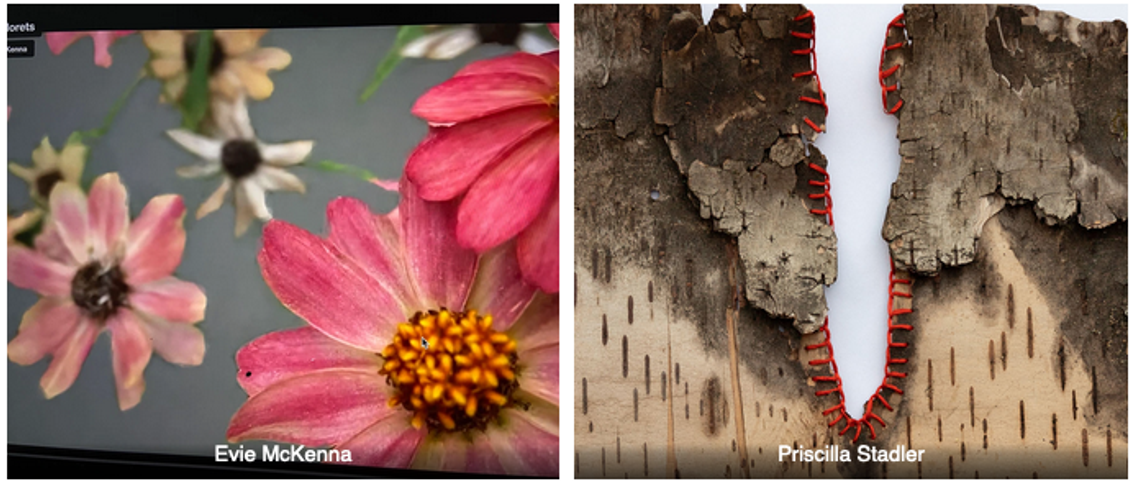 Left image: Artist Evie McKenna's pink and white flowers float on a grey background; Right Image: Detail of Artist Priscilla Stadler's piece with red stitching on a piece of tree bark 