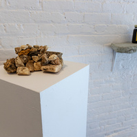From Priscilla Stadler's SLUDGE art project about Newtown Creek, a toxic NYC waterway. Foreground: "Creek Stones", a pile of weathered pieces of styrofoam, insulation foam etc that look like stones but are not.