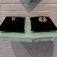 From Priscilla Stadler's SLUDGE, an art project created in response to researching Newtown Creek, a toxic waterway dividing Queens & Brooklyn, NYC. Mussel shells on black velvet pillows set on shelf of light green foam found at Creek