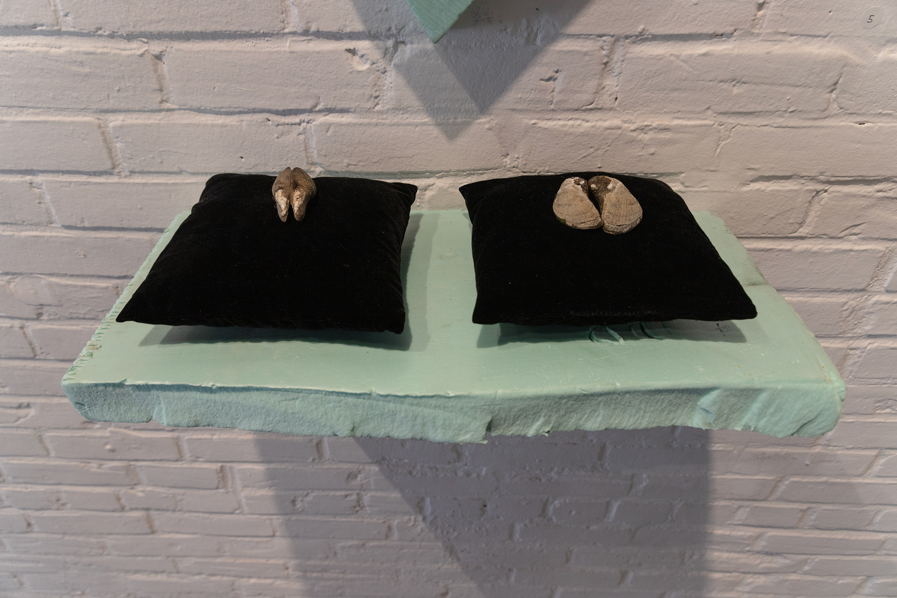From Priscilla Stadler's SLUDGE, an art project created in response to researching Newtown Creek, a toxic waterway dividing Queens & Brooklyn, NYC. Mussel shells on black velvet pillows set on shelf of light green foam found at Creek