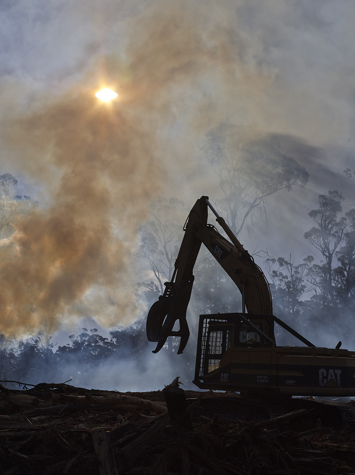 Forestry operations near Ben Lomond.