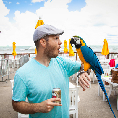 image of man with parrot at a company happy hour event on the beach by los angeles photographer alissa pagels-minor