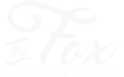 The Fox photographie