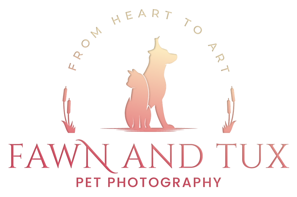 Pet Photography, From Heart to Art