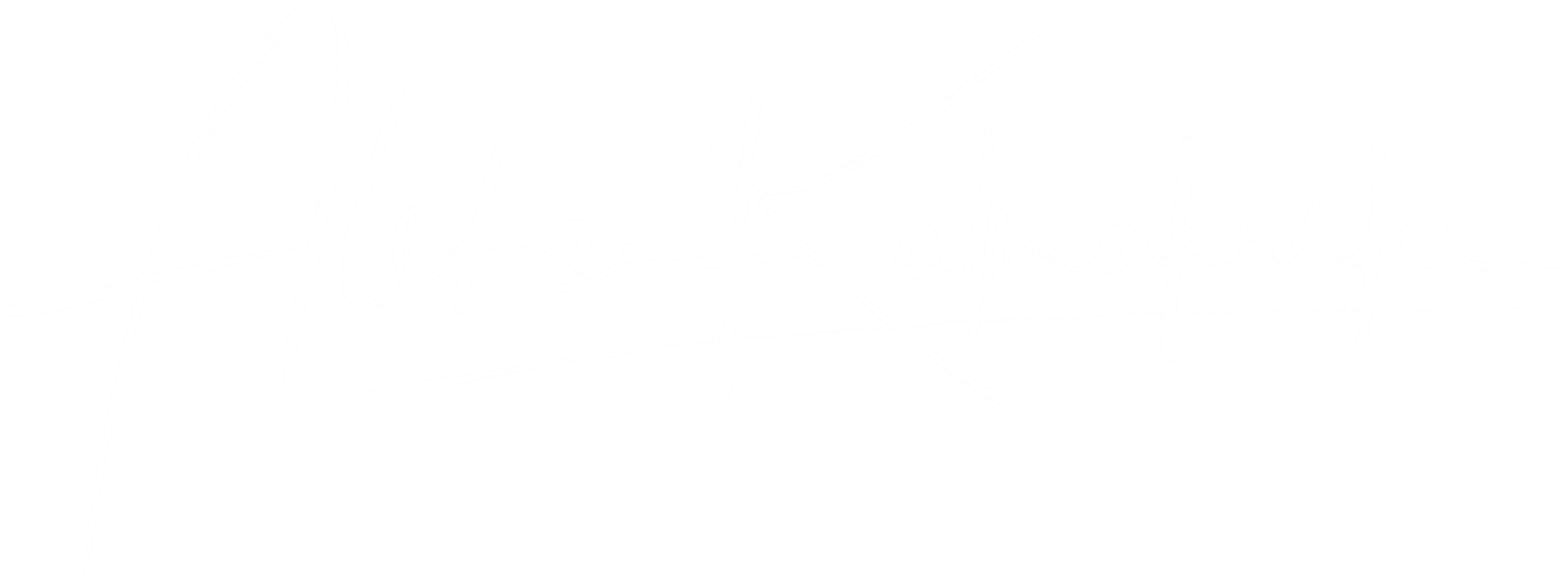 Aleksi Kalmakurki