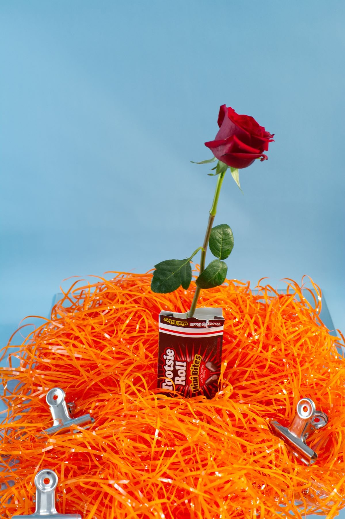 Love and Orange Things by Sherry Paddon.
Still life featuring a red rose in a tootsie roll box and orange streamers surrounded by clips.