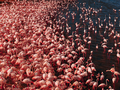 Lake Natron