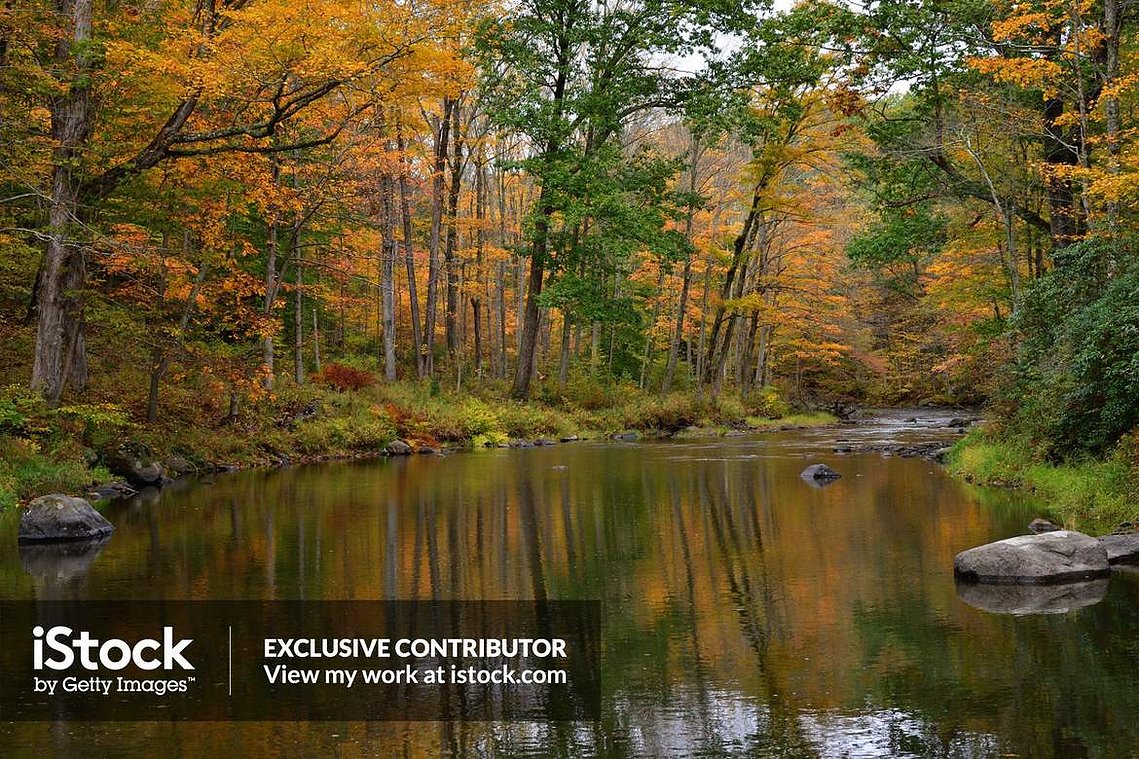 Bantam River, fall 2019