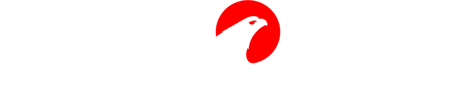 Robert Falconer's Portfolio