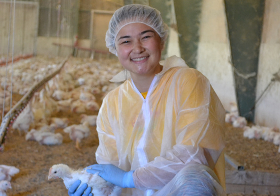 Artist Mieko Temple crouches in a kneeling position, smiling up at the camera, is wearing a biosecurity body suit, hairnet, and gloves, holds a young broiler chicken (meat chicken) inside a barn of broiler chickens. 
