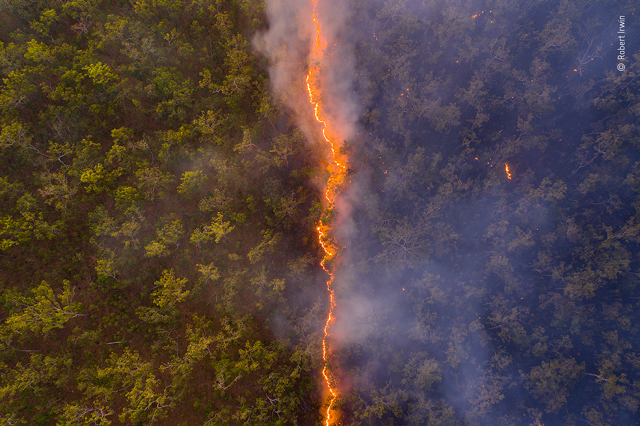 © Robert Irwin, Wildlife Photographer of the Year