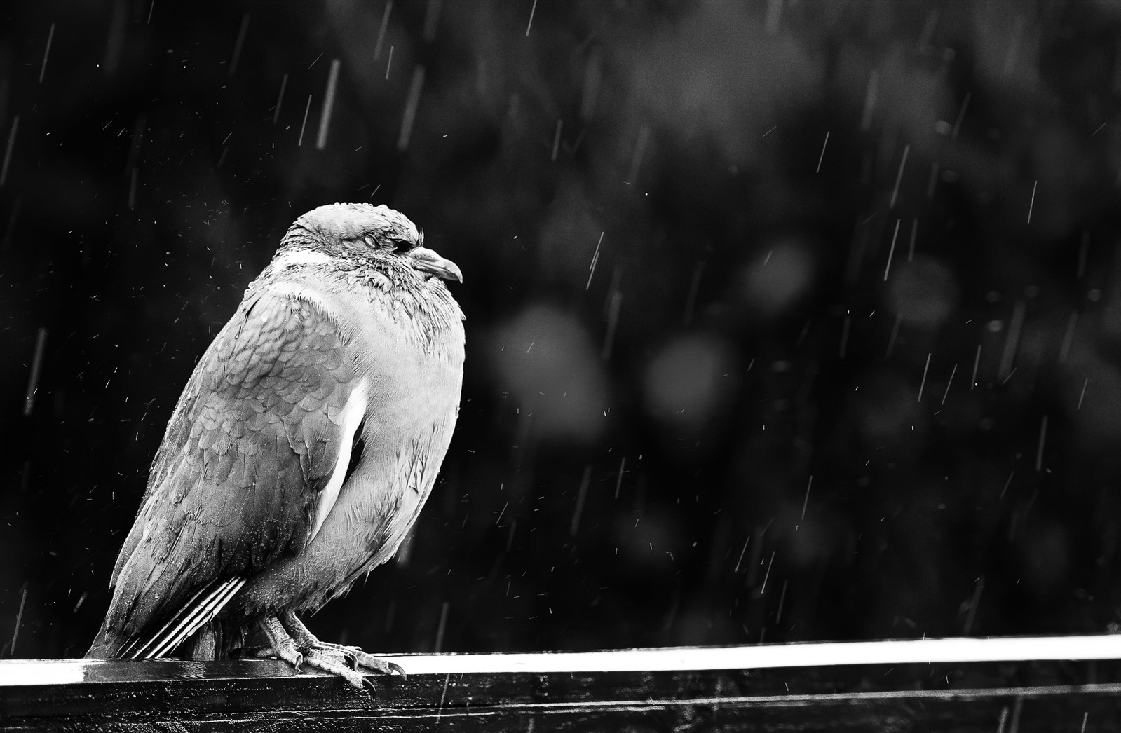 Runner-up: Weathering the Storm by Mark Simpson

