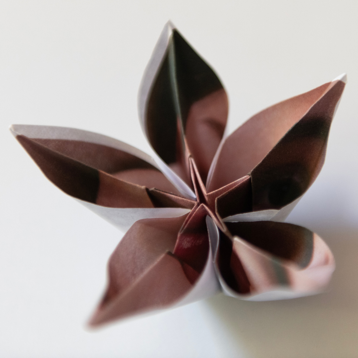 Origami photograph by Rielle Oase