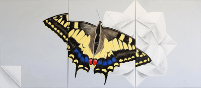 oil painting; conceptual art; realism detail; butterfly painting; narrative; painting on canvas; juxtaposition; opart; pattern