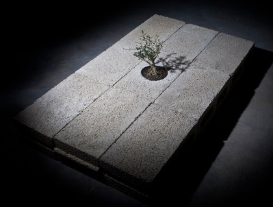 A detail of a sculpture of an olive tree bonsai is seated in breeze blocks