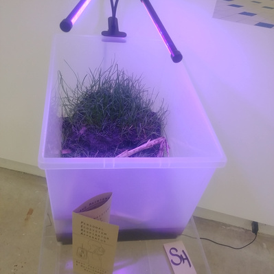 A mini-ecosystem is in a white storage container on a plinth. There are LED grow-lights above. There is a pamphlet and business cards on the plinth.